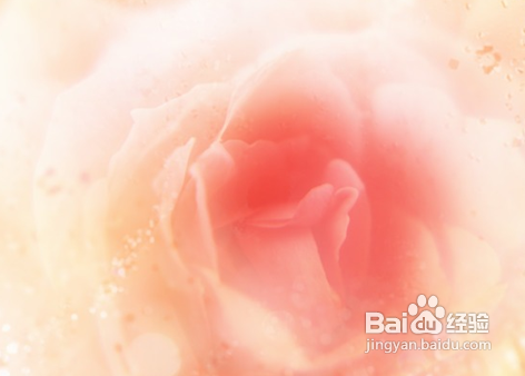 眼部皮肤怎么保养