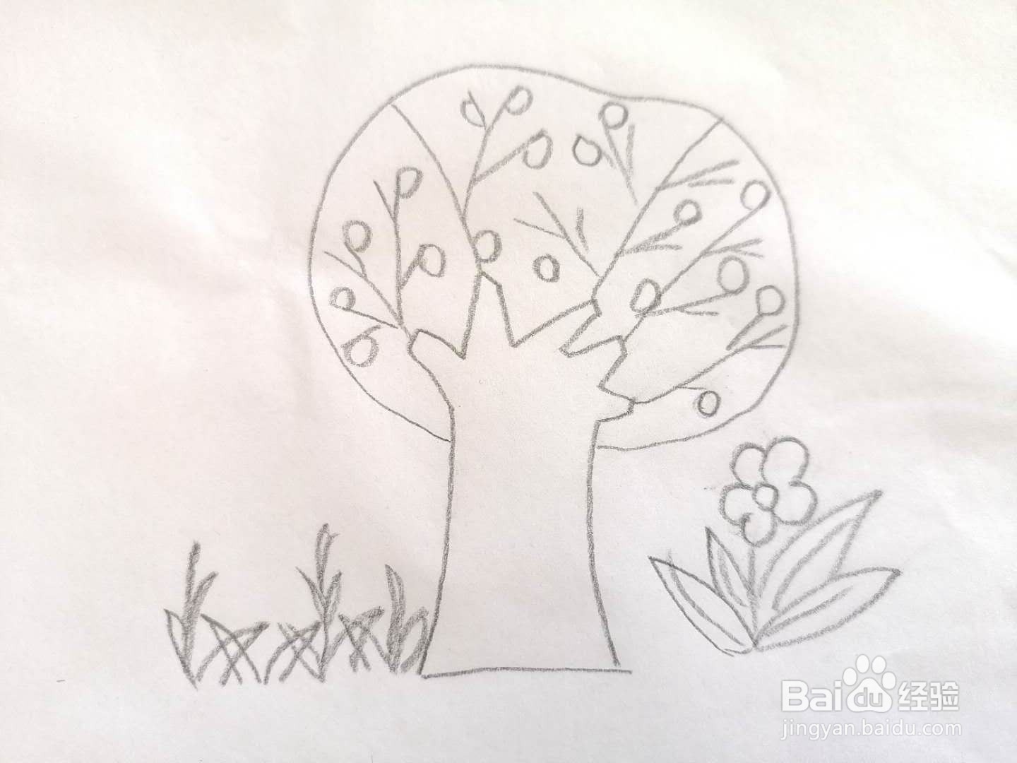 画花朵和画小草和小树图片