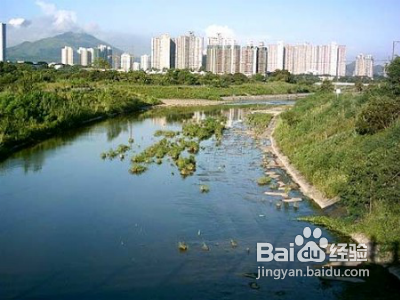 香港旅行香港七大人气最旺宗教文化景点