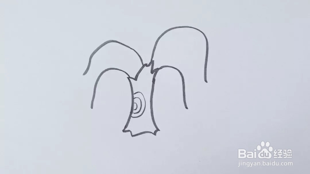植物系列——教你怎么绘画植物柳树