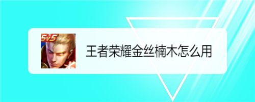 王者荣耀金丝楠木怎么用