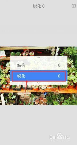 Snapseed如何锐化图片