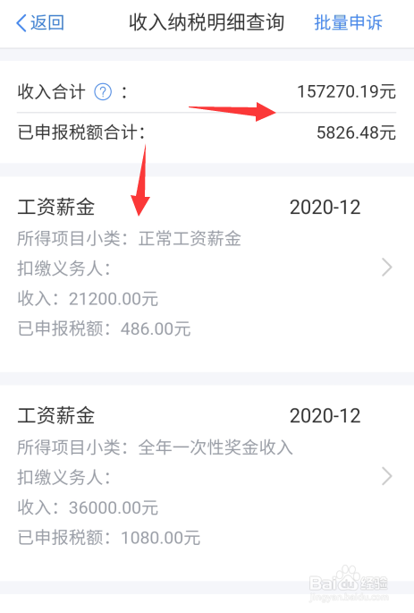 2021年收入纳税明细怎么查