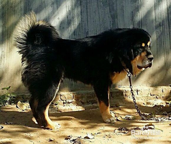 【阿克顿巴旅行网】环湖骑行常见问题及注意事项