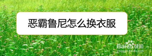 恶霸鲁尼怎么换衣服