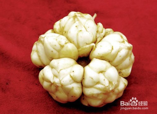 秋天来了，我们需要怎样进补？