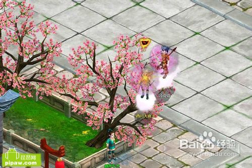 《魔与道》副本攻略幻灭之城奥秘