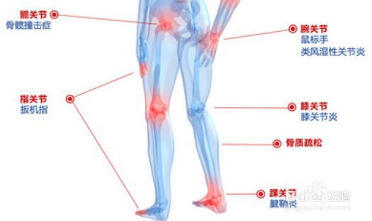 关于维骨力的作用与功效的三要点