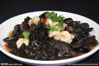 怀孕期间忌口的食物 百度经验