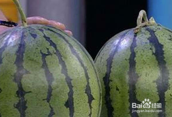 怎么挑选更甜的西瓜