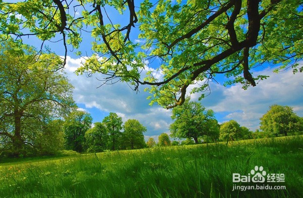 如何正确对待休身养性