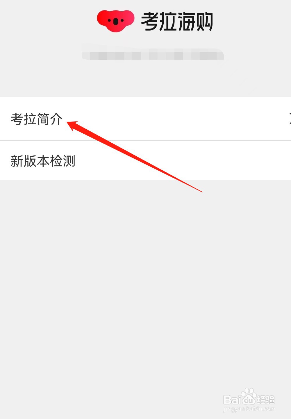 考拉海购怎么查看考拉简介