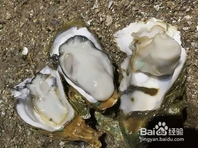 生蚝怎样做好吃炭烧生蚝怎样做