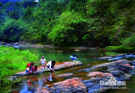 闷热的夏天该去那些避暑地方