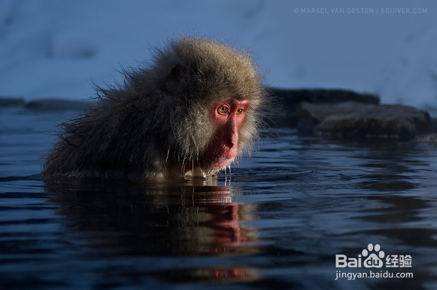 失恋之晴空万里：[3]失恋了怎么办