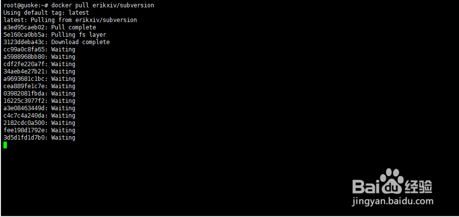 Docker中安装配置SVN服务器