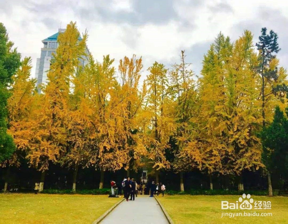 南京秋天旅游攻略