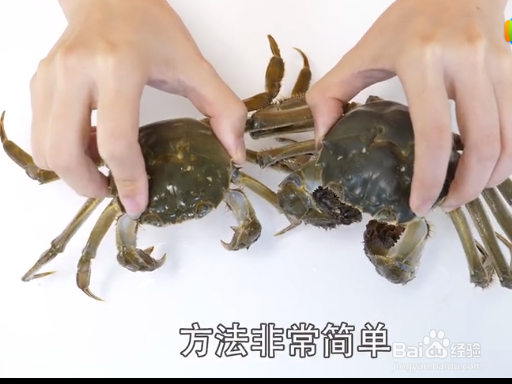 如何挑选大闸蟹才是最新鲜的？