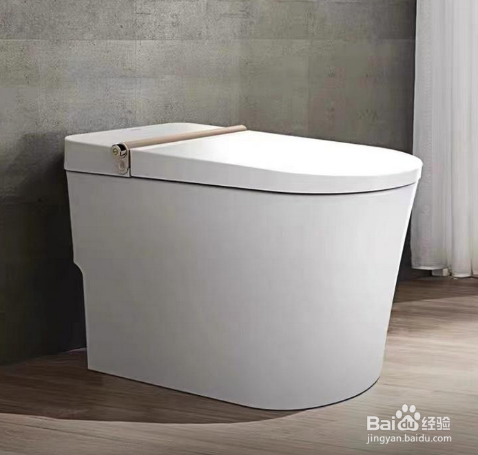 智能马桶选择哪种比较好?