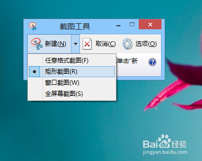 Win8.1怎么截图