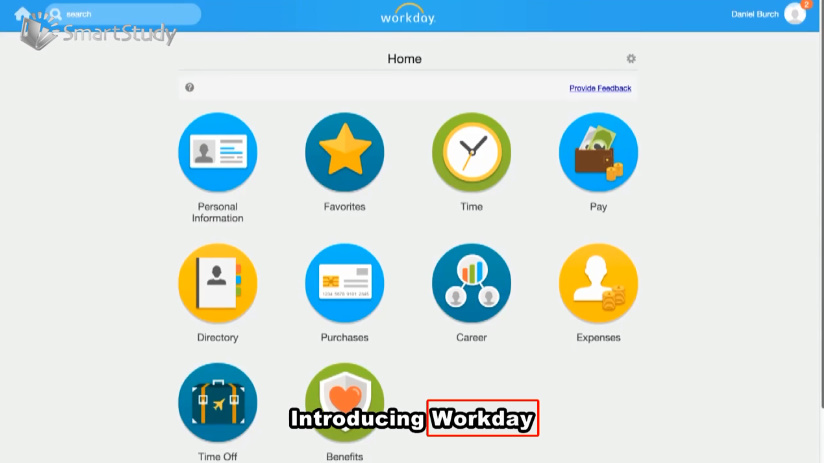 workday什么意思