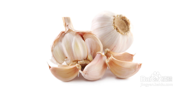 软化血管的食物及功效