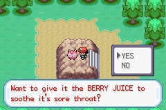 口袋妖怪圣灰攻略图片5