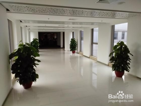 金立ELIFE S5.1手机拍照样张与点评