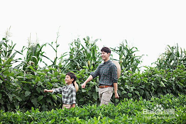 别强迫孩子做这3件事 有害无益