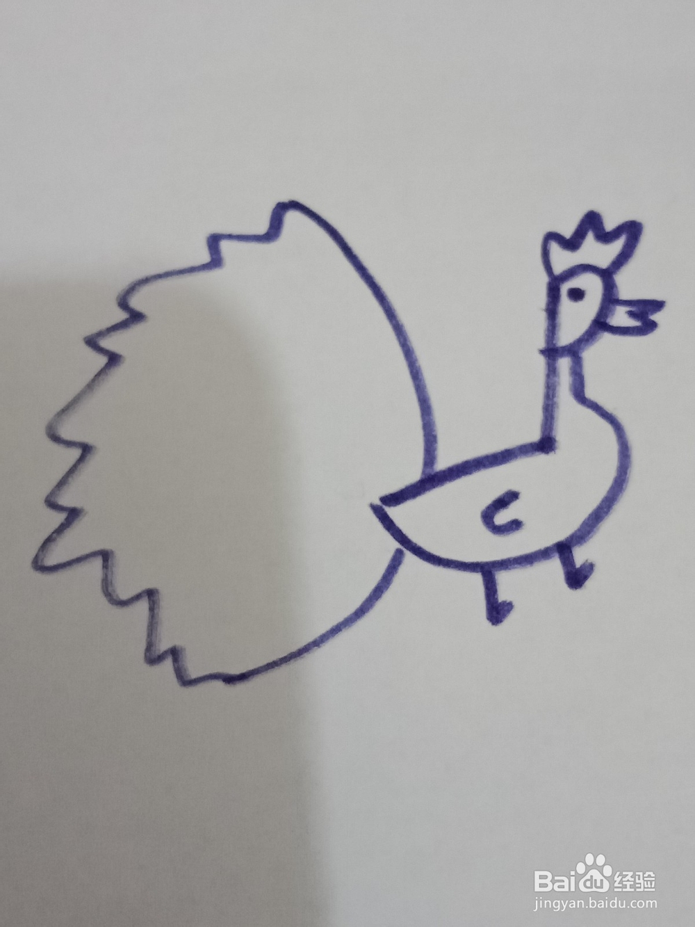 孔雀开屏简笔画