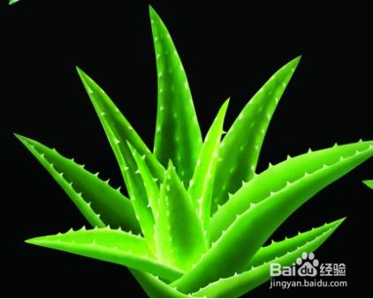 祛痘的小窍门