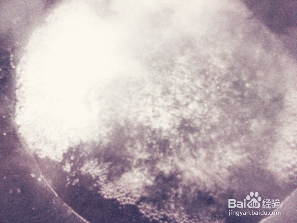 家常菜&药膳：杜仲腰花的做法