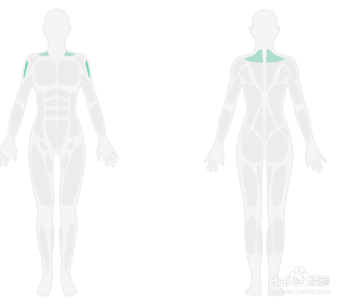 3D肩部轰炸训练