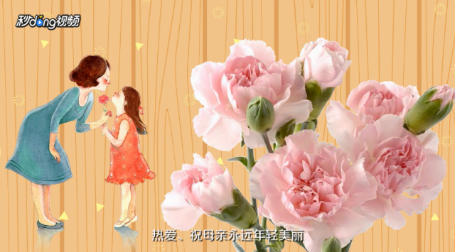 不同的康乃馨颜色分别代表什么含义？（各种康乃馨颜色的含义）[图]