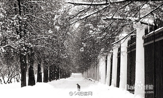 如何提高摄影水平【摄影技巧】