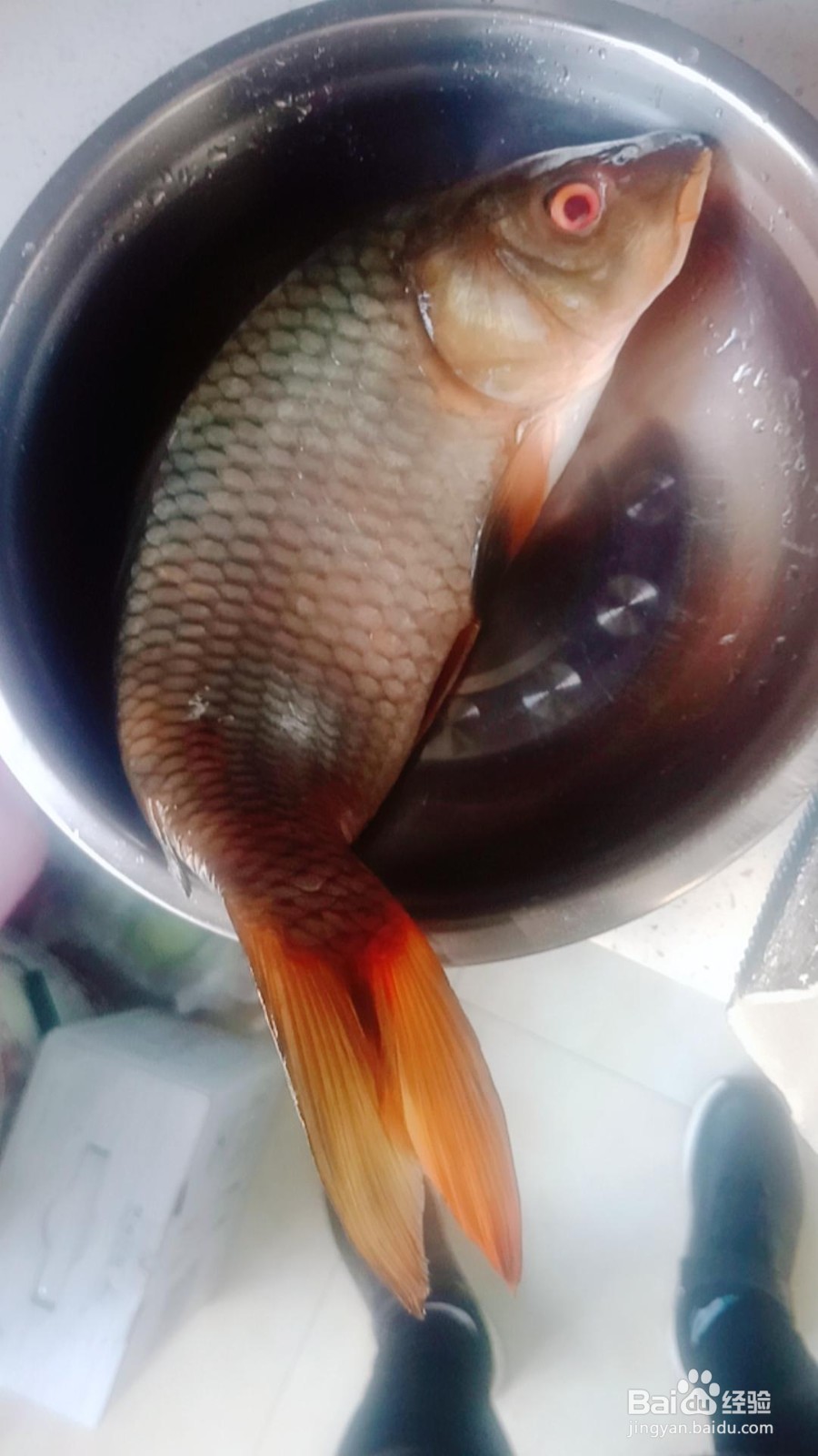 糖醋鲤鱼的做法