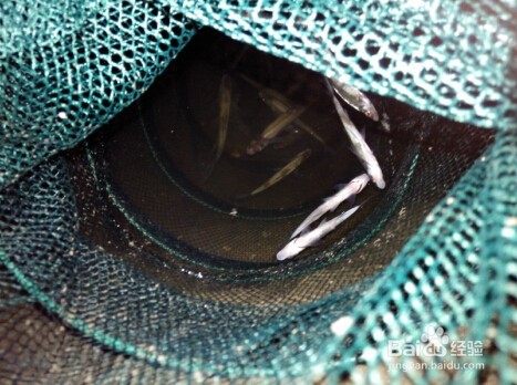 钓鱼去哪儿?水库垂钓