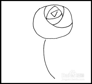 怎样画简笔画（花卉）：[3]玫瑰2