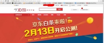 京东白条怎么申请