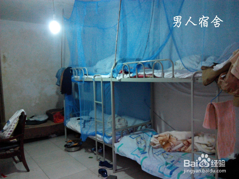 【金寨县马鬃岭实习攻略】