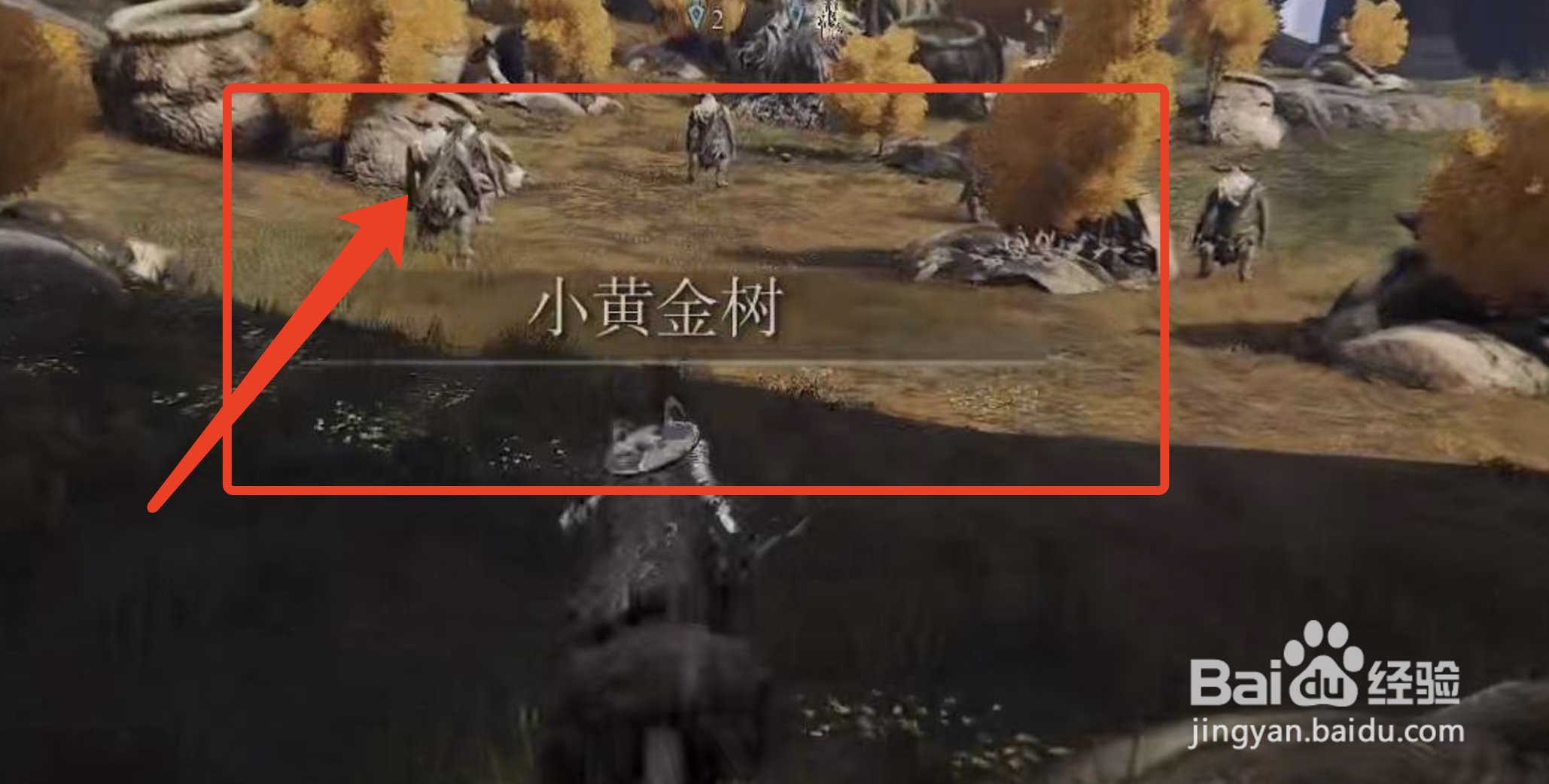 艾尔登法环中带魔力破露滴的获取位置