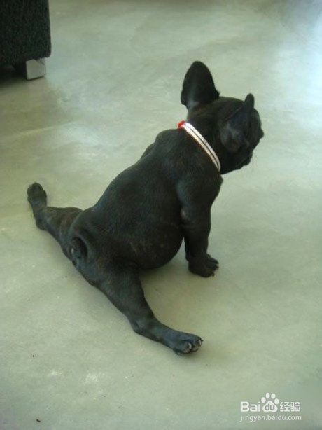 2013高考冲刺:考前几天该如何复习