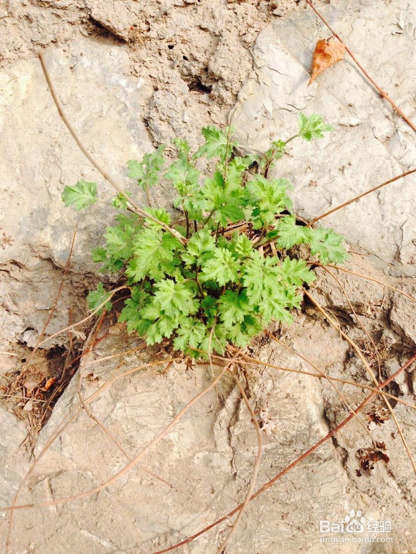 如何让老人快乐的生活？