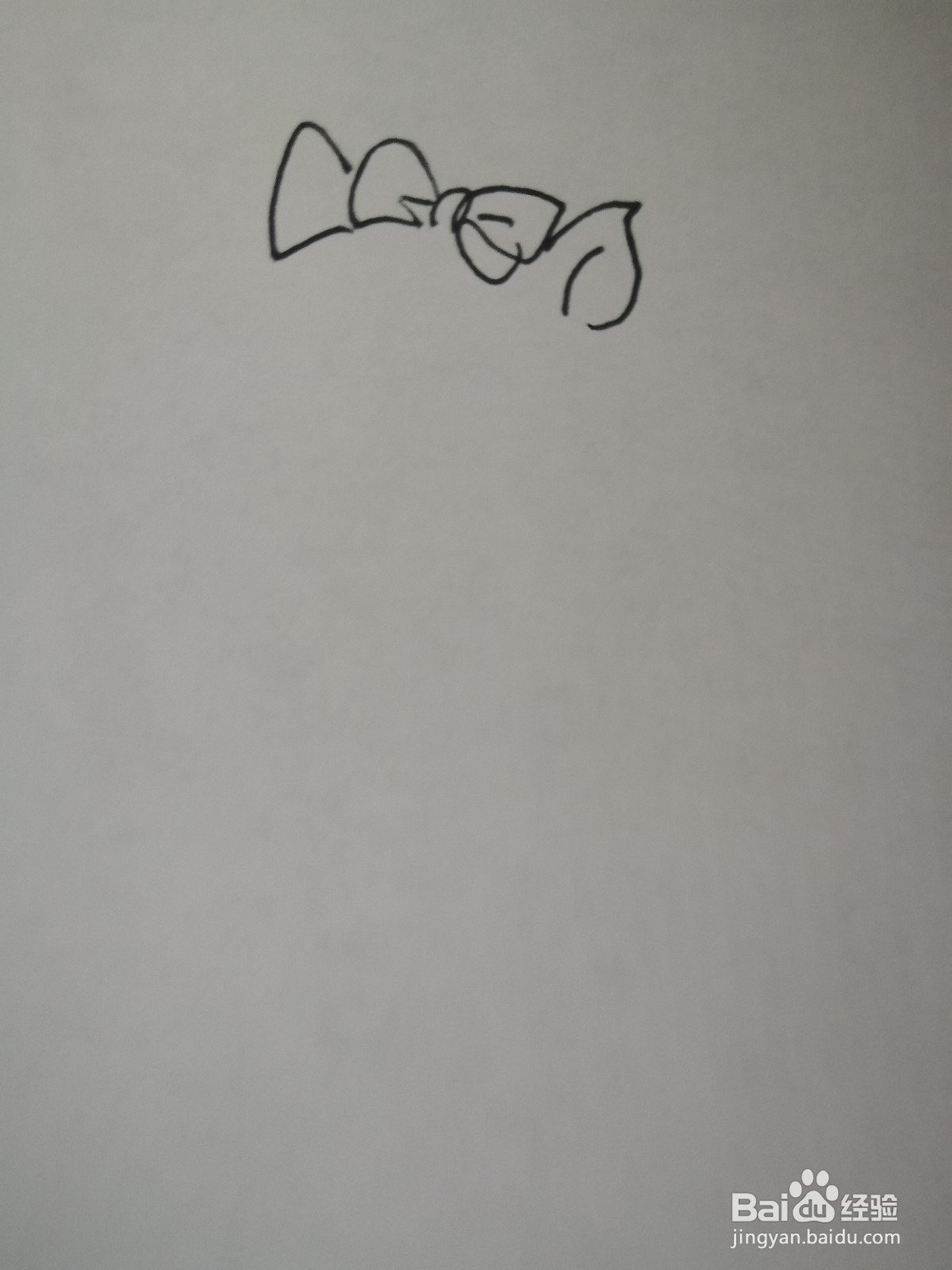 可爱的小松鼠怎么画