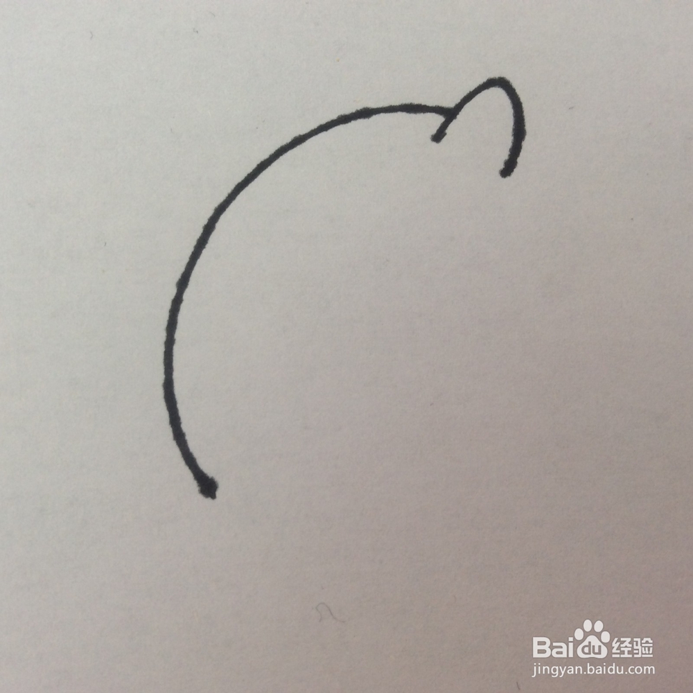 怎么画猪的儿童画？猪的儿童画怎么画呢？