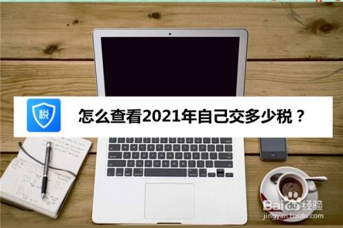 怎么查看2021年自己交多少税