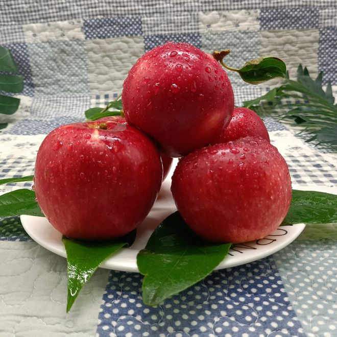 如何挑选苹果，怎么样更好的储存苹果，还不知道的看看这篇文章