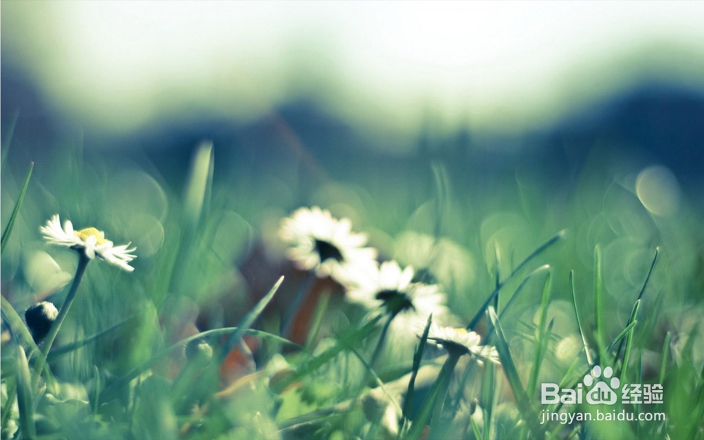 12星座如何应对七年之痒？有你要的答案