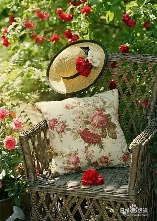 怎样洗掉衣服上的霉斑