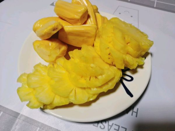 小熊馒头春游便当